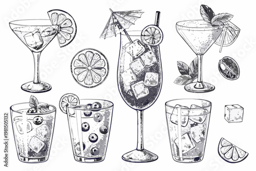 Hand drawn illustration of various cocktails and citrus fruit garnishes