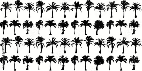 A collection of silhouette palm trees arranged against a white background