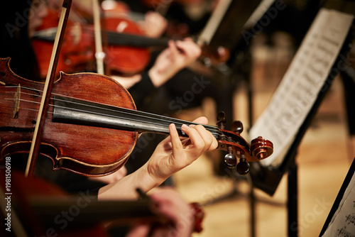 musician playing the violin