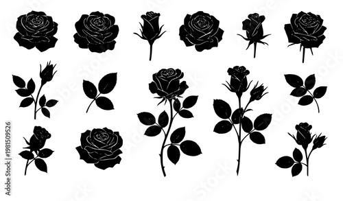 Classic rose flower silhouette set blooming roses buds vector isolated on white background