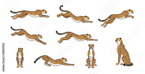 Cheetahs in various poses on black background illustration