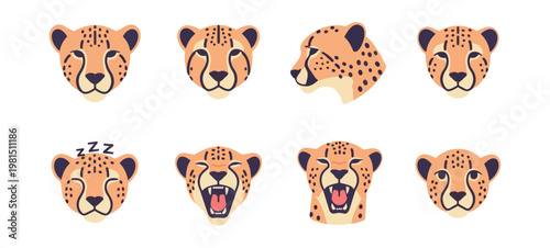 Illustrated cheetah faces in various expressions on black background