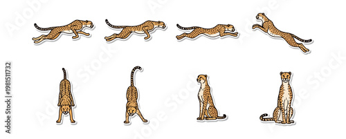 Running cheetah animation sequence motion graphics vector illustration