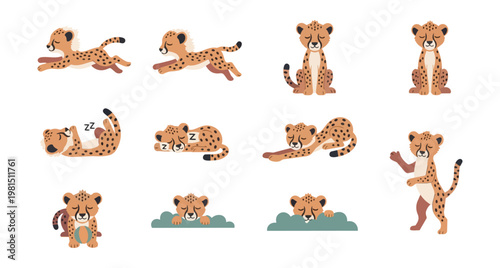 Set of cheetahs in various poses on black background