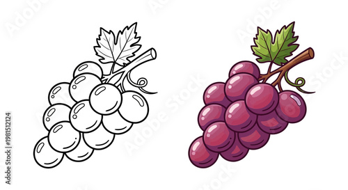 Coloring Page Outline and Colored Grapes Bunch with Green Leaves on White Background