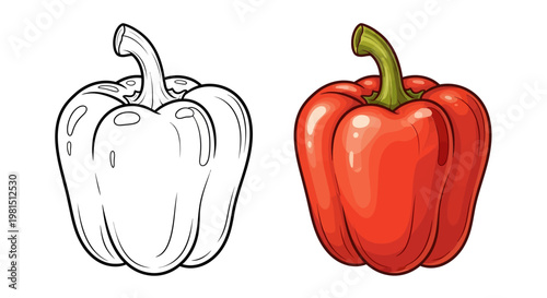 Red Bell Pepper Outline and Colored Illustration