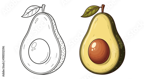 Avocado Halved with Pit and Leaf, Outline and Color Version