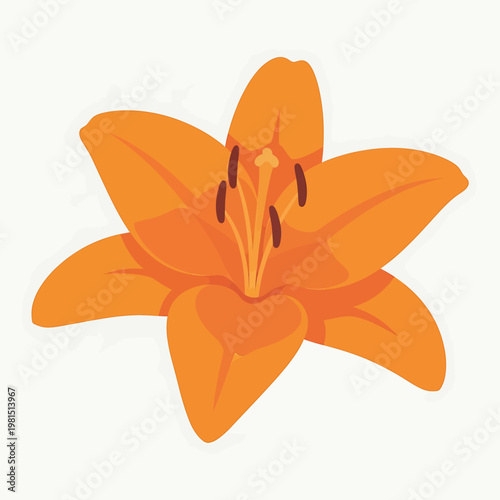 Vibrant Orange Lily Flower Closeup View.