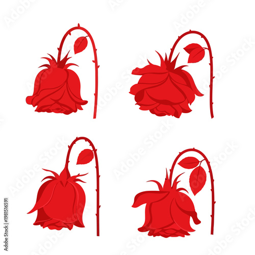 Withered Red Roses: Symbol of Lost Love, Sadness, and Fading Beauty