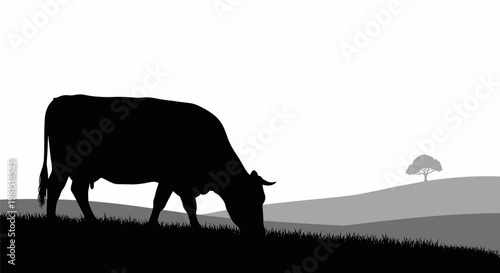 Black silhouette cow grazing on grassy hill with tree on distant hill