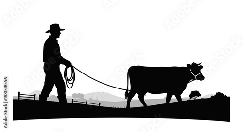 Cowboy leads a cow on a leash through a rural landscape with a fence