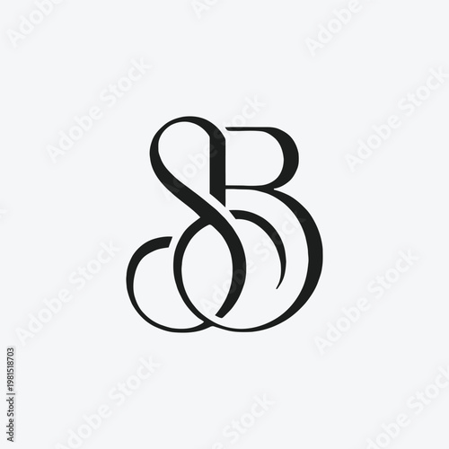 Elegant Luxury SB Monogram Logo