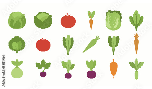 Colorful vegetable collection flat cartoon vector farm products for menu and organic food design