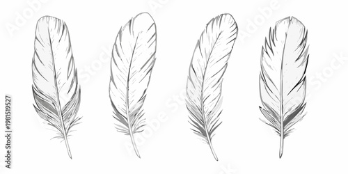 Four detailed feather illustrations in grayscale arranged vertically