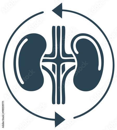 Human kidneys blood circulation process icon for health and detoxification