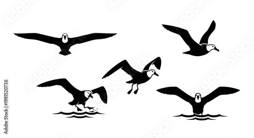 Stylized black and white seagulls flying and landing on water