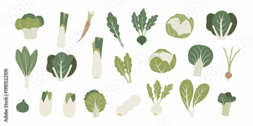 A colorful collection of various fresh vegetables arranged on a white background