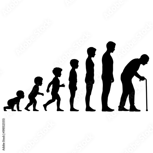 silhouette of human evolution from infant to elderly