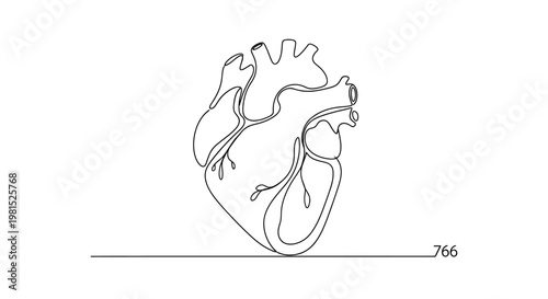 Minimalist continuous line drawing of a human heart, anatomical illustration, simple vector art
