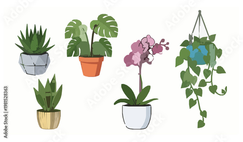 Houseplants in pots indoor plant decoration vector illustration set