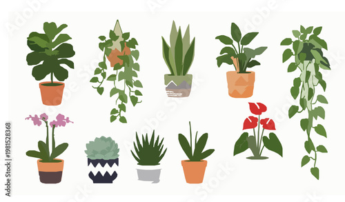 Potted houseplants variety indoor decor cartoon vector set