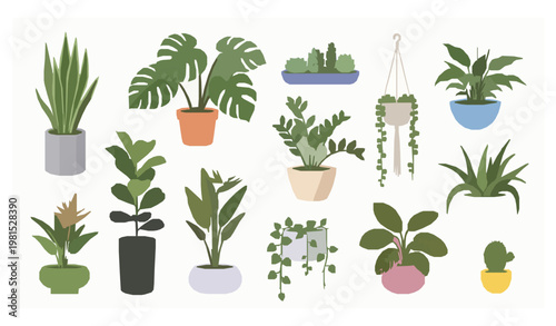 Indoor potted plants home office decor flat vector illustration