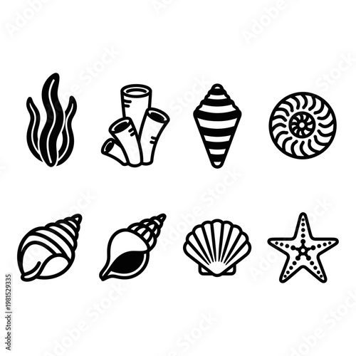 Collection of marine life icons including shells, coral, seaweed, and starfish, perfect for design projects