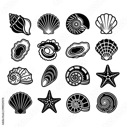Collection of diverse seashell icons, featuring starfish, nautilus, and other marine mollusk shells for design elements