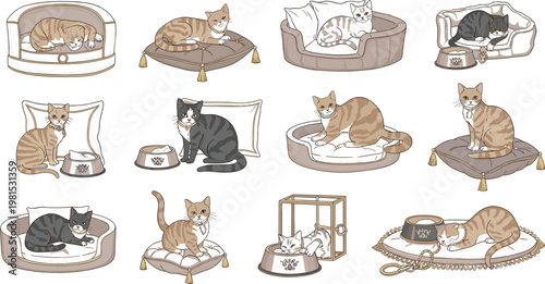 Vector illustration set of domestic cats relaxing in cozy beds and plush pillows for pet lifestyle design.Vector illustration set of domestic cats 