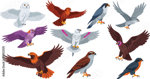 Colorful Vector Set of Birds of Prey Including Hawks, Eagles, and Owls for Wildlife and Bird-Themed Designs