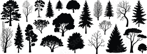 Diverse Black Tree Silhouettes 