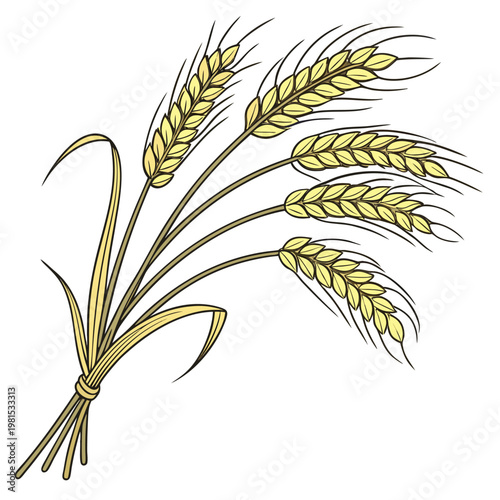 wheat-bundle-vector-isolated-on-pure-white-backgro.eps