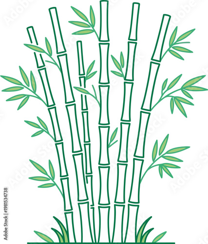 Green bamboo forest illustration with leaves and stalks. Minimalist line art vector of bamboo trees for nature, spa, Asian culture, and sustainability concepts. Isolated on transparent background.