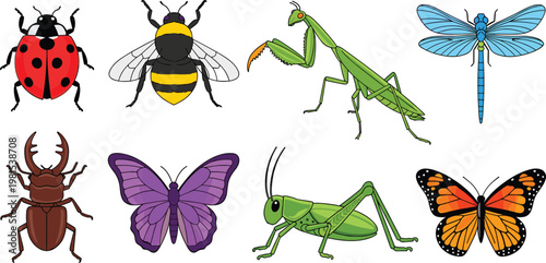 Colorful Vector Set of Insects Including Ladybug, Bee, Mantis, Dragonfly, Butterfly, and Grasshopper for Wildlife and Nature Designs