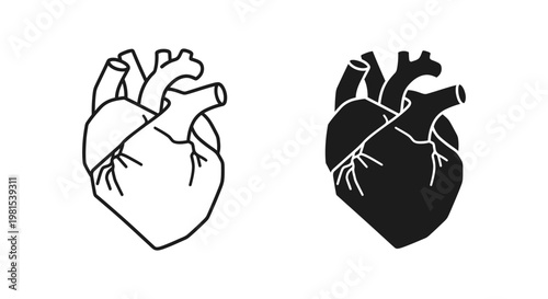 Anatomical human heart icons in minimalist outline and solid silhouette styles for medical education and healthcare graphic design