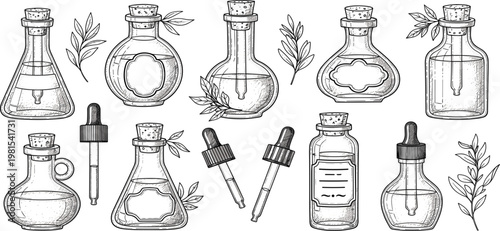 Vintage Glass Bottles and Dropper Vials Collection with Herbal Elements, Hand Drawn Line Art Illustration for Apothecary, Cosmetics and Essential Oils