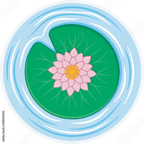 Centered top-down pink water lily on a teal lily pad. Symmetrical flat vector illustration with circular ripples for zen, spa, and aquatic nature themes. Isolated on transparent background.