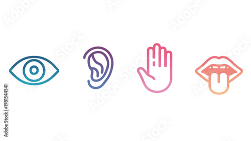 Human Senses Vector Icon Set including Sight Hearing Touch and Taste