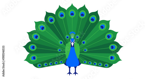 Peacock Displaying Bright Green Plumage.