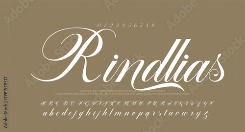 Script Brush Font Type Font lettering handwritten. 