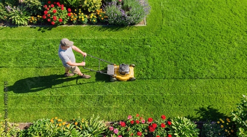 Top down drone shot of a male gardener cutting grass with a push lawnmower on a sunny summer day. Perfect green backyard with colorful flower beds.