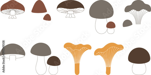 Illustrated variety of edible and poisonous mushrooms in different shapes and colors Vector