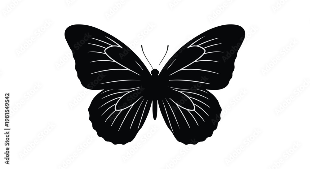 Fototapeta premium Butterfly silhouette with intricate wing patterns is isolated against a plain white background.