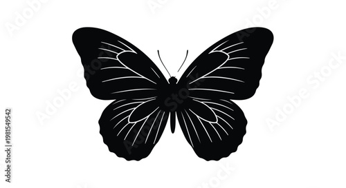 Butterfly silhouette with intricate wing patterns is isolated against a plain white background.