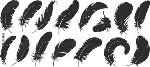 Feather, big set of bird feather design, swan plumage collection, soft feather pen icons, natural bird plumage set, clean vector illustration.