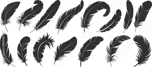 Feather, big set of bird feather design, swan plumage collection, soft feather pen icons, natural bird plumage set, clean vector illustration.