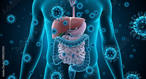 Medical illustration showing human internal organs affected by a widespread viral infection in the body