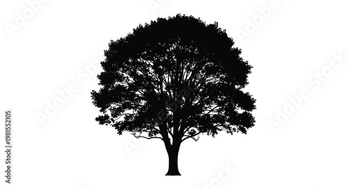 A majestic tree with dense foliage stands prominently against a white background silhouette
