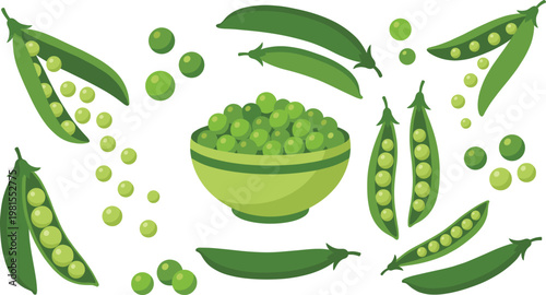 Green Pea Vector Set with Fresh Pods, Open Shells, Loose Peas and Bowl Composition for Healthy Vegetable Food Design and Organic Nutrition Illustration