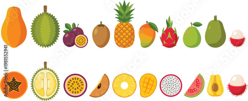 Exotic Tropical Fruit Vector Set with Whole and Sliced Papaya, Durian, Mango, Pineapple, Dragon Fruit, Rambutan and Fresh Healthy Food Illustrations